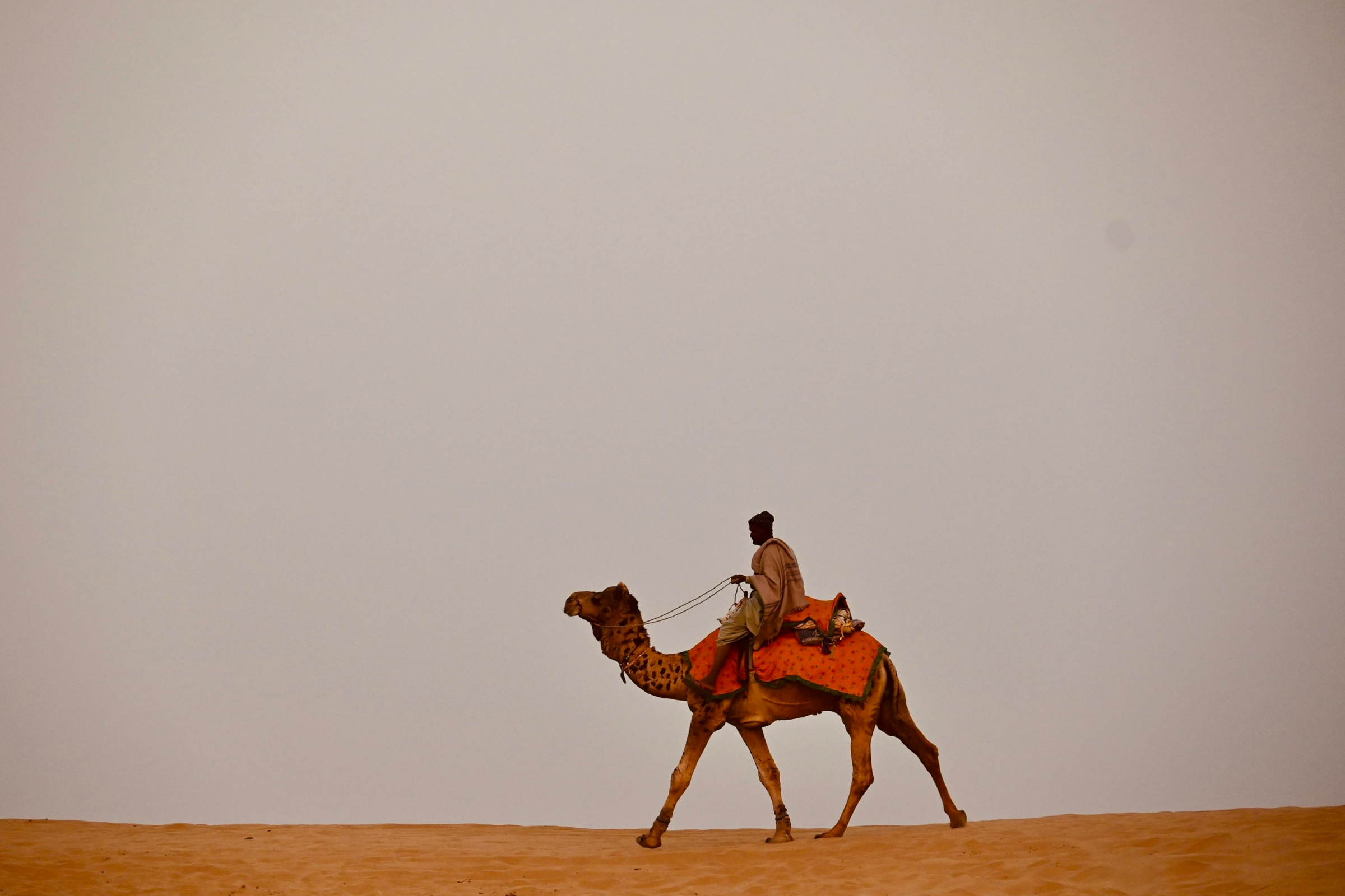 jaisalmer (4).webp